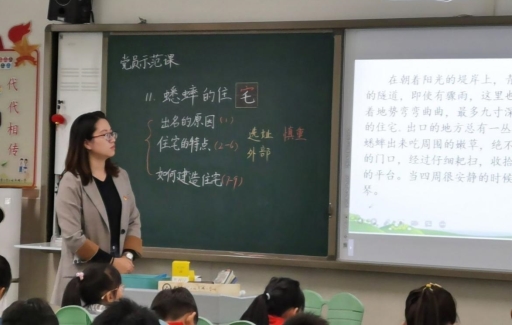夏露露3